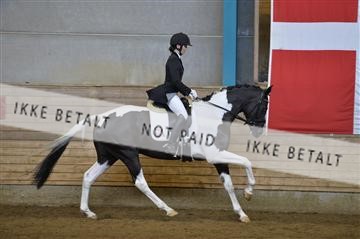 144288_abo_01__AB21957.JPG