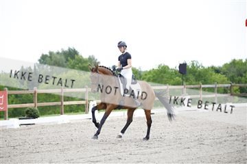 181449_kbb_02_6II0867.JPG