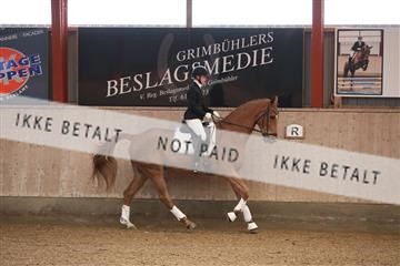 173782_mtp_01_3M5A6876.JPG