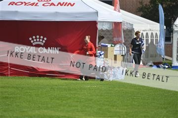 175267_bkn_01__JBR2486.JPG
