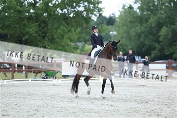 181923_mtp_01_R62_6620.JPG