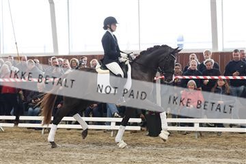 174363_kbb_01_R6II7949.JPG