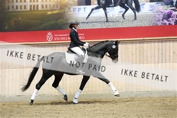 175676_avh_01_R62_4777.JPG