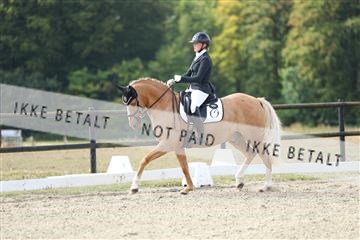 181894_mtp_04_R62_3853.JPG