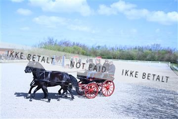 174513_jss_01_R6II7968.JPG