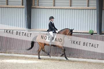 174313_mtp_01_3M5A5714.JPG