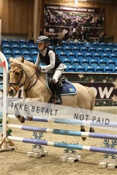 175934_avh_02_6886.JPG