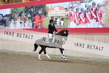 181887_mtp_01_R62_6603.JPG