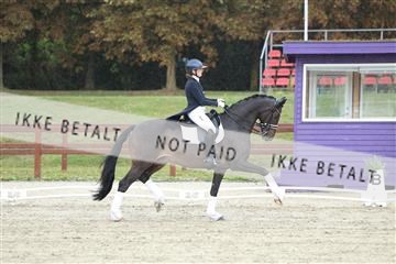 181923_mtp_04_R62_8971.JPG