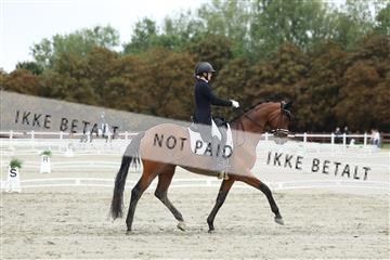 181923_mtp_04_R62_9176.JPG