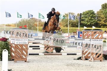 181922_avh_01_1036.JPG
