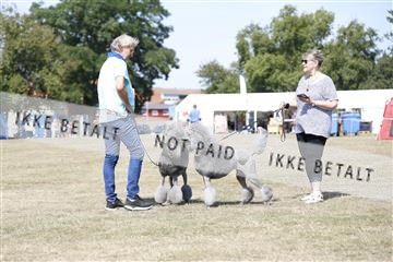 181848_kar_01__62_1803.JPG