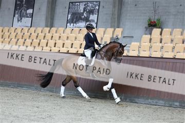 181852_mtp_02_R62_1920.JPG