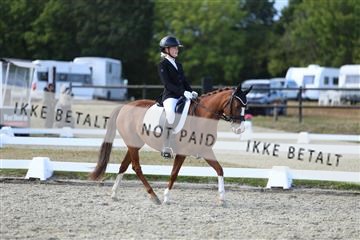 181894_mtp_05_R62_5201.JPG