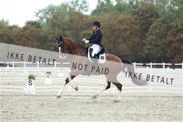 181923_mtp_03_R62_7894.JPG