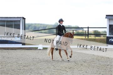 181894_mtp_05_R62_4309.JPG