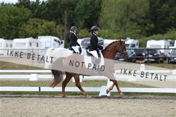 181894_mtp_05_R62_4698.JPG