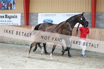 181868_mtp_03_R62_5817.JPG