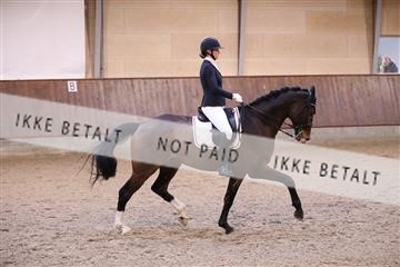 173821_mtp_01_3M5A9684.JPG