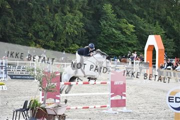 172734_akl_01_AKL_7503.JPG