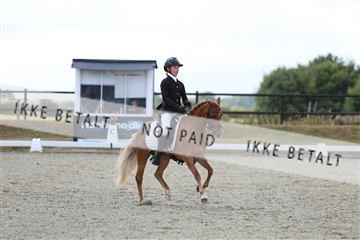181894_mtp_05_R62_4312.JPG