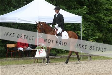 135518_ms_01_IMG_1503.JPG