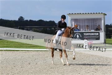 156716_mlm_02_IMG_0680.JPG