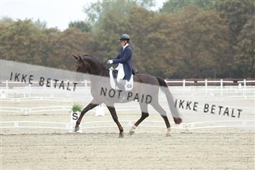 181923_mtp_04_R62_8285.JPG