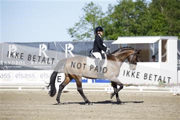 181449_kbb_01_6II9663.JPG