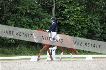 172073_mtp_01_3M5A3072.JPG
