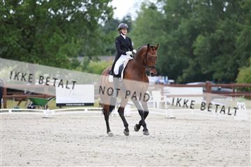 181923_mtp_01_R62_6266.JPG