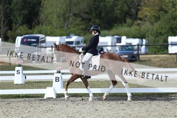 181894_mtp_05_R62_4841.JPG