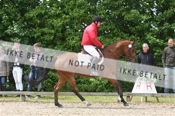 135518_ms_01_IMG_1520.JPG