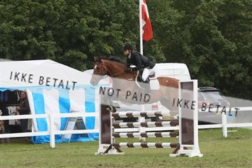 5925_ma_05_IMG_0677.JPG