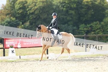 181894_mtp_04_R62_3844.JPG