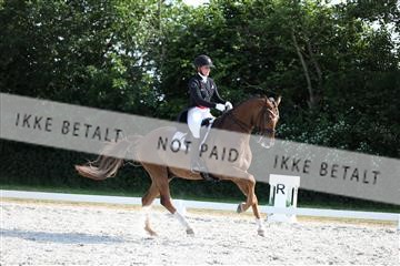 172073_mtp_01_3M5A4808.JPG