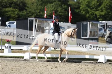 181894_mtp_05_R62_4600.JPG