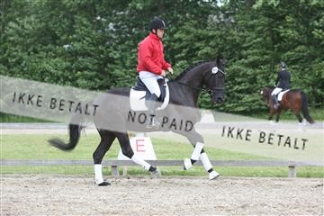 135518_ms_02_IMG_2527.JPG