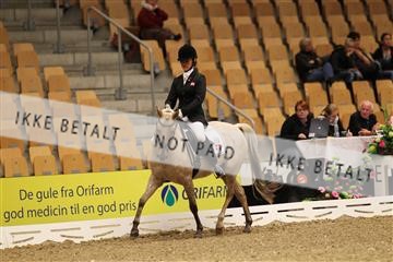 126407_abo_01_IMG_1421.JPG