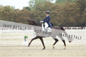 181923_mtp_04_R62_8279.JPG