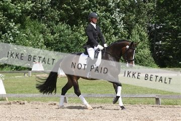 135518_ms_01_IMG_1873.JPG