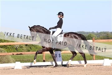 181449_bc_01R62_6341.JPG