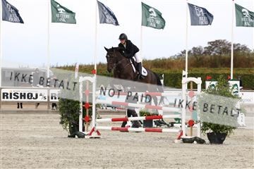 181922_avh_01_1120.JPG