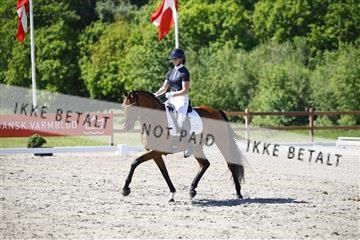 181449_kbb_01_6II9250.JPG