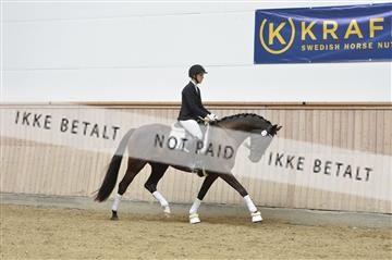160111_nn_01__ESK2021.JPG