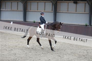 171210_mtp_01_3M5A6332.JPG