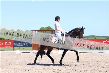 181449_bc_01R62_5724.JPG
