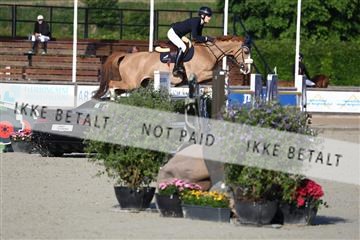 181436_avh_01_2914.JPG