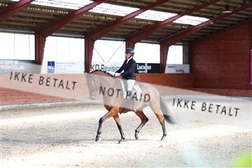 175442_kbb_01_R6II0214.JPG