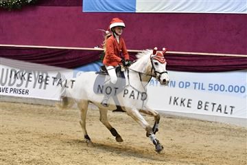 161006_abo_01__D051059.JPG